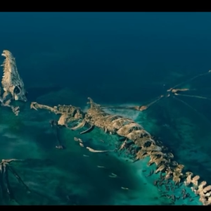 Gasoline（翻自 Halsey）