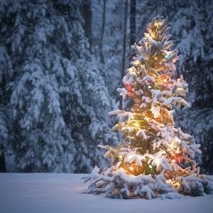 多年不见（prod by 王旭）