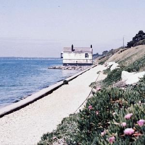 The Summer（prod by Uranus）