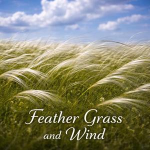 Ковыль и ветер