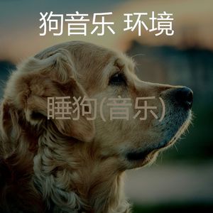 天堂般(宠物午睡)