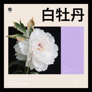 《送崔九兴宗游蜀》王维