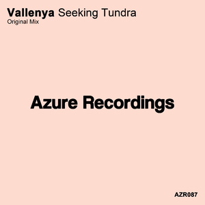 Seeking Tundra (Original Mix)