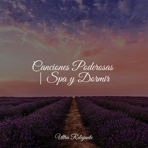 El Estrés Desaparece Para Siempre