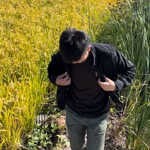 皇朝中我破金甲