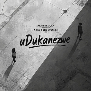 UDukanezwe