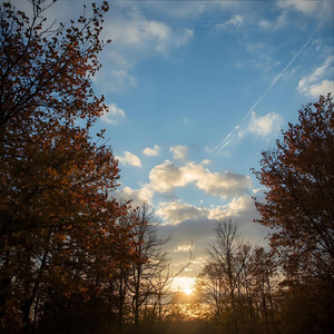 秋空に残る想い