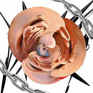 I t a k e a s h o w e r a t 1 a m