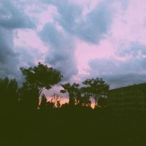 温文尔雅的旋律