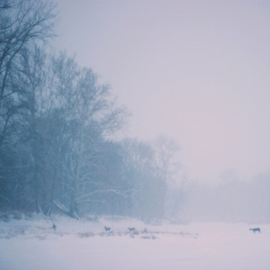 Last Sleep on the Rimy Meadow