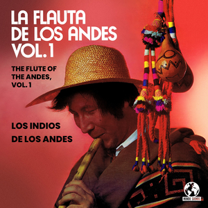Indiecita Del Ecuador