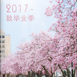 2017~致毕业季