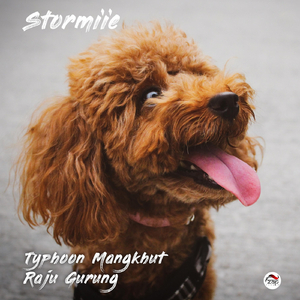 Typhoon Mangkhut (feat. Stormiie)