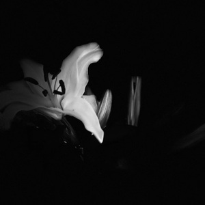 闭上嘴巴你就可以唱歌了