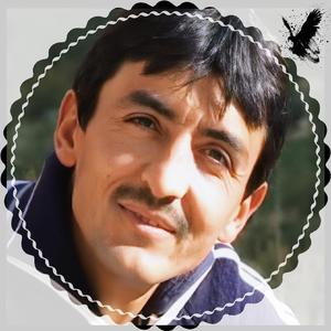 Kano ledi ajle asul na qost