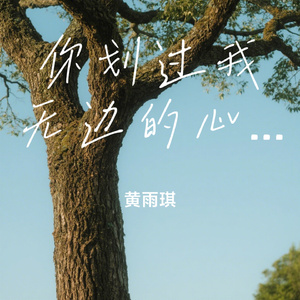 你划过我无边的心伤