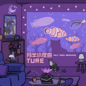 月半小夜曲