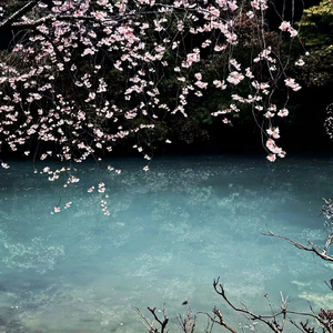 答案