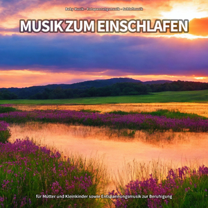 Kontraste unter Tulpen
