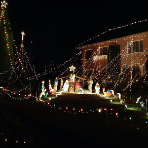 We Three Kings & Carol of the Bells