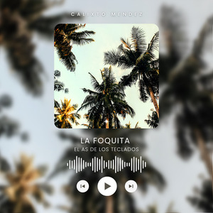 La Foquita