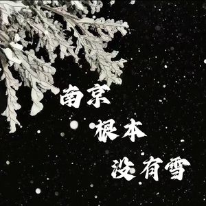 南京的“雪”