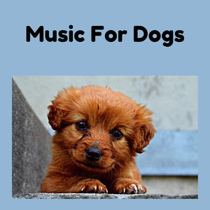 Dog Calming Music