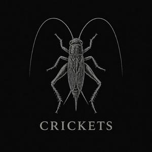 Crickets