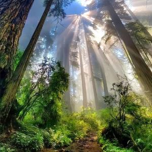 陪伴(纯音乐加长版)