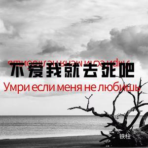 Умри если меня не любишь（降调版）