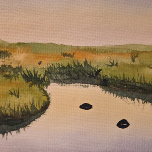 Tjörnin okkar Elísabetar