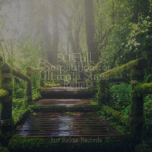 Echoes of Solstice's Climb