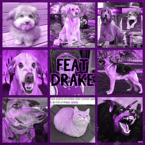 For All The Cats ! / Does anyone know when skools used to do this on Fridays??!! (feat. Siamese cat, Bermese cat, British shorthair!, Mc ride, Bingus & Main Coone!)