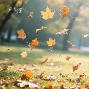 风轻轻说别追问太多