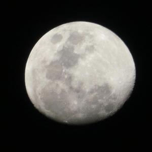 ราตรีเคียงกัน