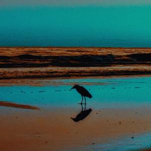 The Smaller One Upfront