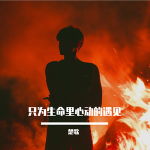 只为生命里心动的遇见