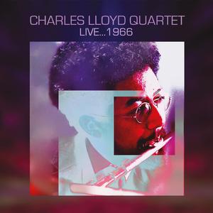 Love Ship (Live: Gyllene, Cirkeln, Stockholm, Sweden April 29th 1966)