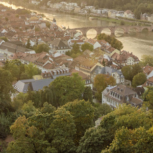 今年最走红的一句话