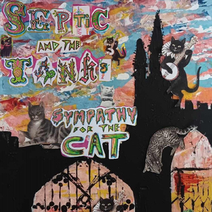 Sympathy for the Cat