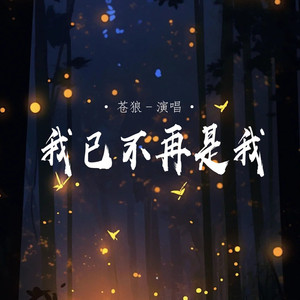我已不再是我 (男版)