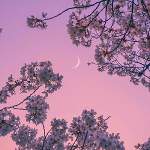 宝贝（翻自 张悬）