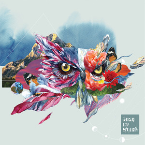 ร่างไร้วิญญาณ