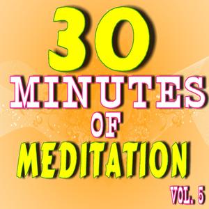 30 Minutes of Meditation, Vol. 5
