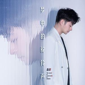 梦中的驼铃声