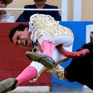 斗“牛”