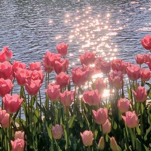 原来你也在这里