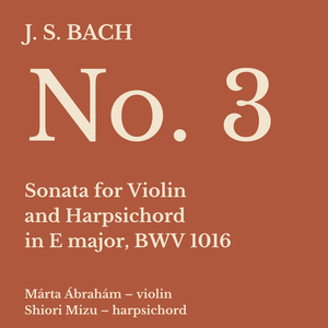 Sonata No. 3 for Violin and Harpsichord in E Major, BWV 1016:III. Adagio ma non tanto
