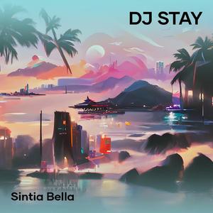 Dj Stay