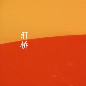 泪桥 (纯净女声版)